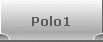 Polo1
